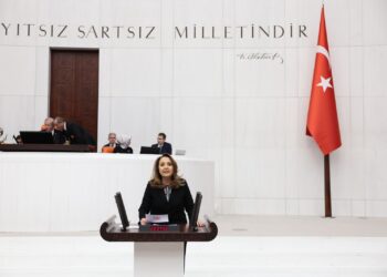 CHP’li Dinçer, bütçe görüşmelerinde 21 yılın özetini yaptı