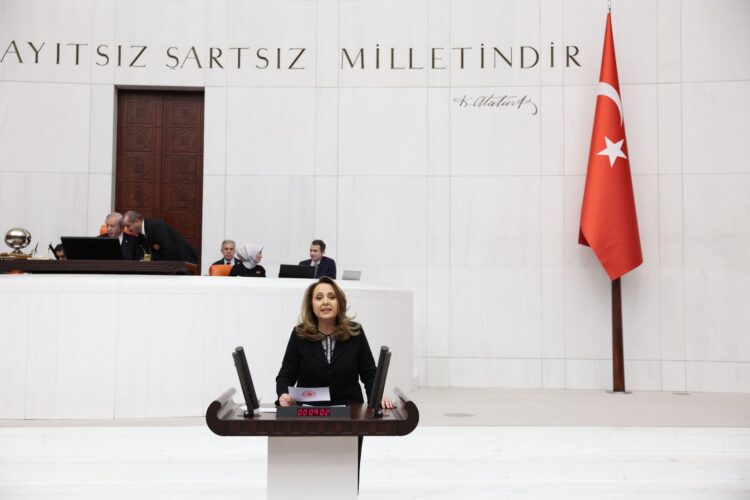 CHP’li Dinçer, bütçe görüşmelerinde 21 yılın özetini yaptı