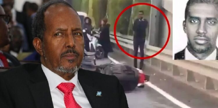 Somali Cumhurbaşkanı ilk kez konuştu