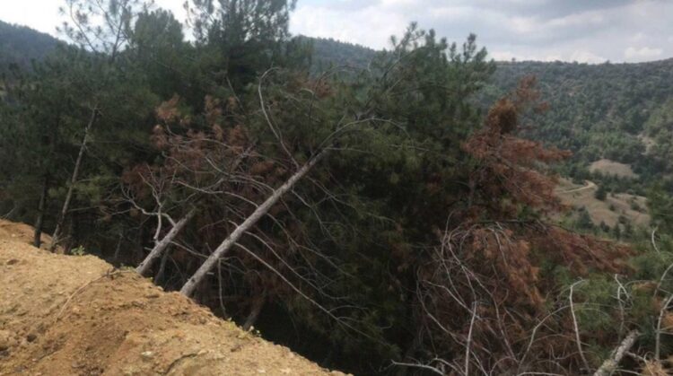 CHP’li vekillerden Cengiz Holding’e tepki