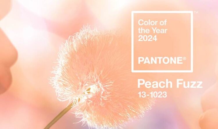 Pantone 2024 yılının rengini seçti