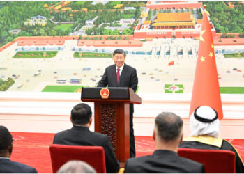 Xi Jinping, 42 büyükelçinin güven mektuplarını kabul etti