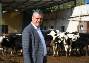 CHP’li Ayhan Barut’tan açıklanan çiğ süt fiyatlarına tepki