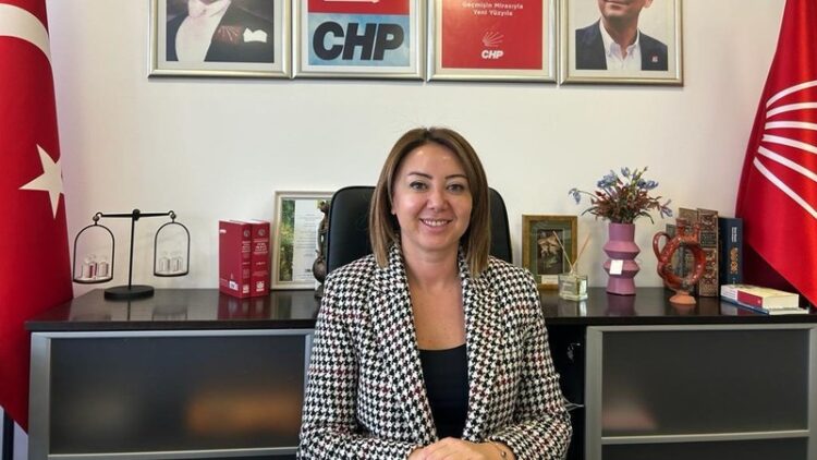 CHP’li Binici: Anayasa için, geleceğimiz için, can için Tandoğan’dayız
