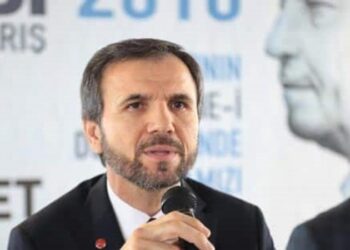 Saadet Partisi’nden sokak hayvanları için kanun teklifi