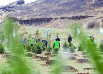 Çin’in İç Moğolistan bölgesinde son 10 yılda 500 milyondan fazla ağaç dikildi