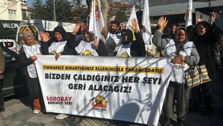 Agrobay işçileri: Sendika haktır, engellenemez