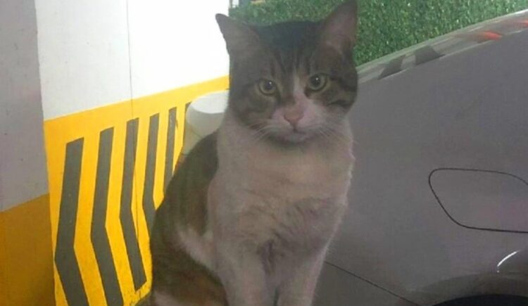 Eros’un katili hakkında karar