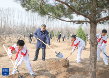 Xi Jinping gönüllü ağaç dikme etkinliğine katıldı