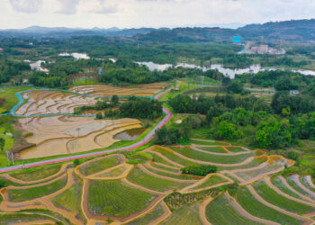 Xi’den ulusal ekolojik güvenlik koruma vurgusu