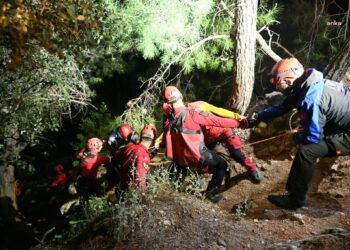 AFAD Başkanı’ndan Antalya’daki teleferik kazasına ilişkin açıklama