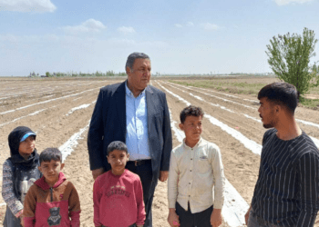 CHP’li Gürer’in dinlediği tarım işçisi: ”Çocuklar tarım ilaçlarına maruz kalıyor”