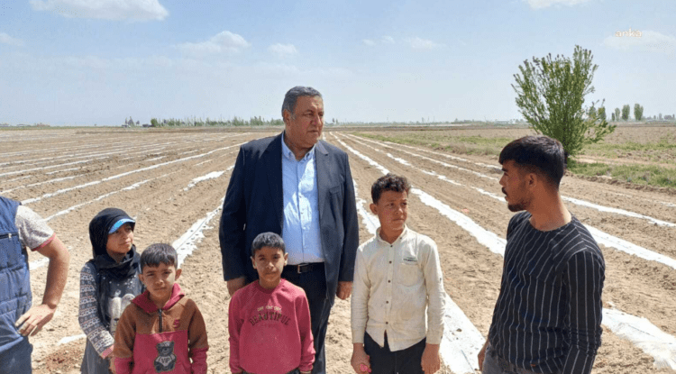 CHP’li Gürer’in dinlediği tarım işçisi: ”Çocuklar tarım ilaçlarına maruz kalıyor”
