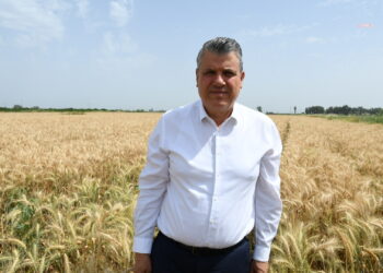 CHP’li Barut: “Buğday taban fiyatı hemen açıklanmalı”