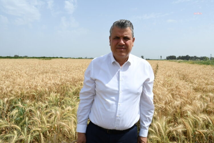 CHP’li Barut: “Buğday taban fiyatı hemen açıklanmalı”