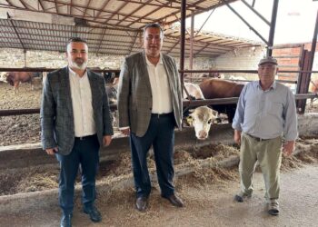 Gürer: Emekli ve dar gelirli kişiler kurban alamaz hale geldi