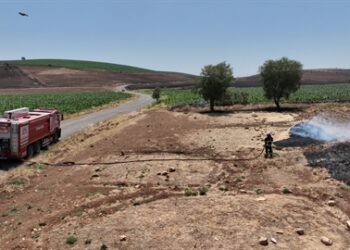 Diyarbakır Mardin sınırındaki yangının itfaiye raporu ortaya çıktı