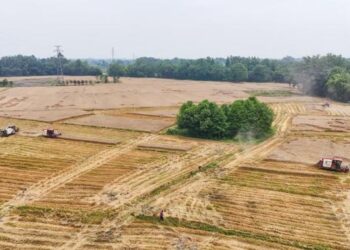 Çin’de gıda güvenliği yasası yürürlüğe girdi