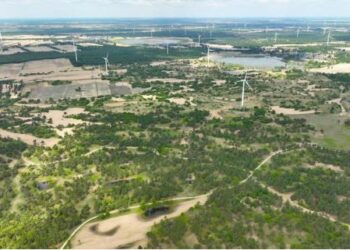 Çin, önde gelen ağaçlandırma programı kapsamında 12 ayda 2,67 milyon hektarlık alanı yeşillendirdi