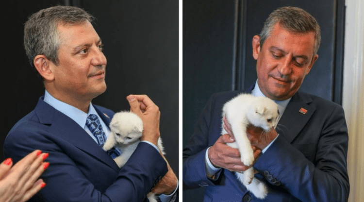 Özgür Özel, 31 Mart’ta doğan kediyi sahiplendi; adını ‘Zafer’ koydu