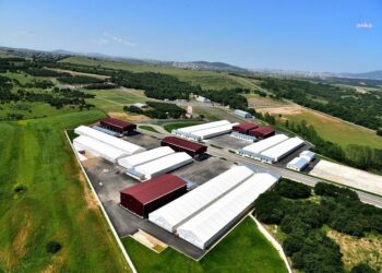 İBB: “İstanbul Kurban Bayramı’na hazır”