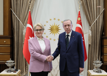 Erdoğan, eski İYİ Parti Genel Başkanı Akşener ile görüştü