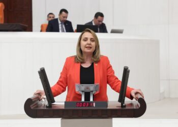 CHP’li Dinçer: “İngiltere’nin Çöpü Ülkemize Doluyor!”