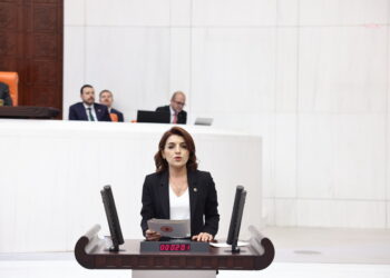 CHP’li Kış: “Bu bayramın da tek kurbanı, emekli, işçi ve memur olmuştur”