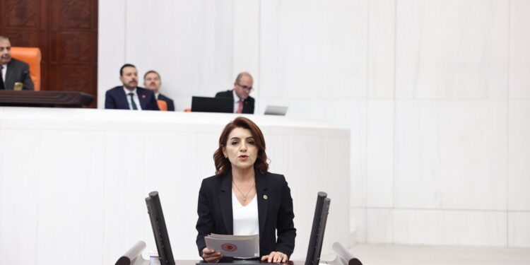 CHP’li Kış: “Bu bayramın da tek kurbanı, emekli, işçi ve memur olmuştur”