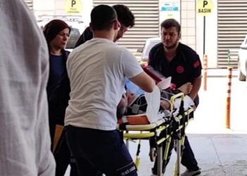 Yetiştirdiği arıların soktuğu bal üreticisi hayatını kaybetti