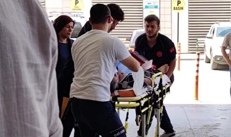 Yetiştirdiği arıların soktuğu bal üreticisi hayatını kaybetti