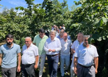 CHP’li Murat Çan, fındık üreticilerinin sorunlarını dinledi
