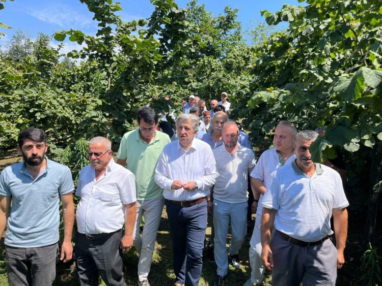 CHP’li Murat Çan, fındık üreticilerinin sorunlarını dinledi