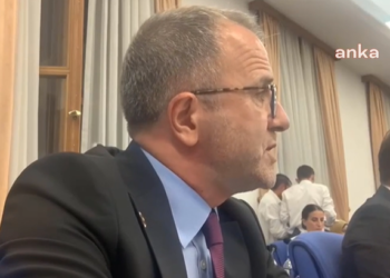 CHP’li Konuralp: “Bu yasanın asıl ismi hayvanları öldürme kanunudur”