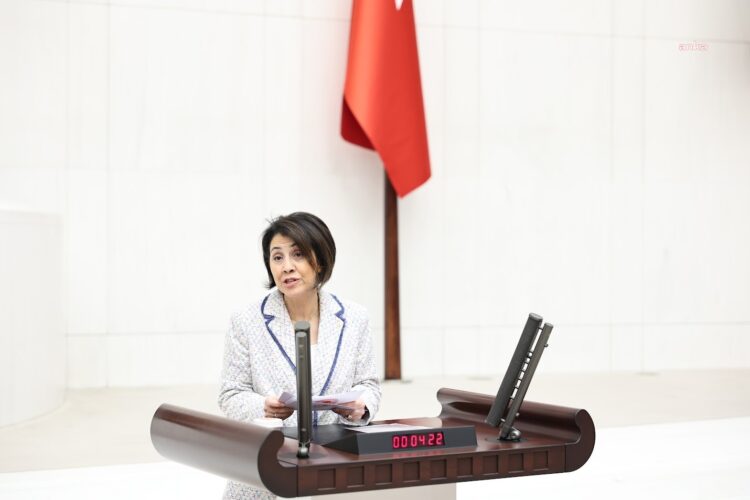 CHP’li Yaman: “Sokak hayvanlarıyla ilgili alınacak kararda ‘tek sağlık’ bakışı şarttır”