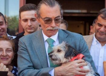 Erdal Beşikçioğlu, sokak hayvanlarına yönelik projesini anlattı