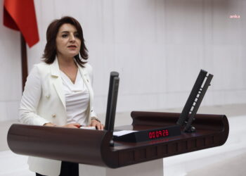 CHP’li Kış: ‘Hayvanları Koruma Kanunu’ adı altındaki katliam yasasına karşı çıkacağız