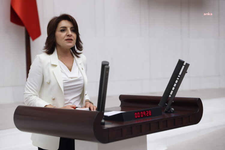 CHP’li Kış: ‘Hayvanları Koruma Kanunu’ adı altındaki katliam yasasına karşı çıkacağız