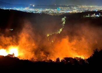 Bornova’daki orman yangınının nedeni belli oldu