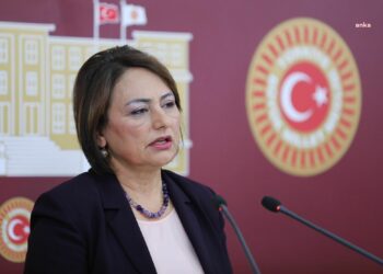 CHP’li Şevkin’den iktidara kamuda tasarruf tepkisi