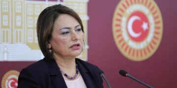 CHP’li Şevkin’den iktidara kamuda tasarruf tepkisi