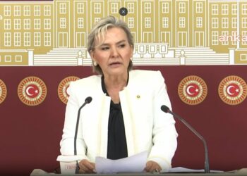 Nimet Özdemir, İYİ Parti’den istifa etti