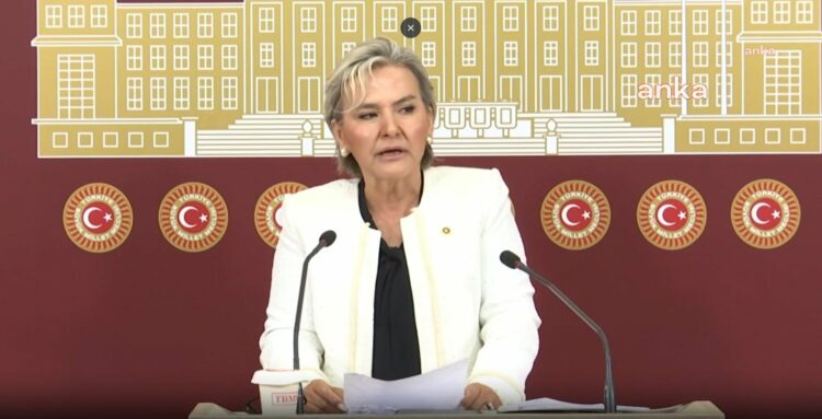 Nimet Özdemir, İYİ Parti’den istifa etti