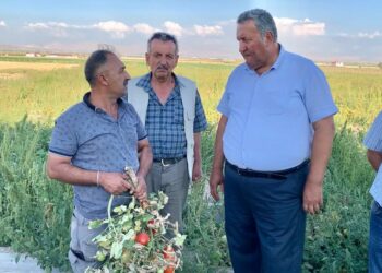 Gürer, domates üreticilerinin derdini dinledi…
