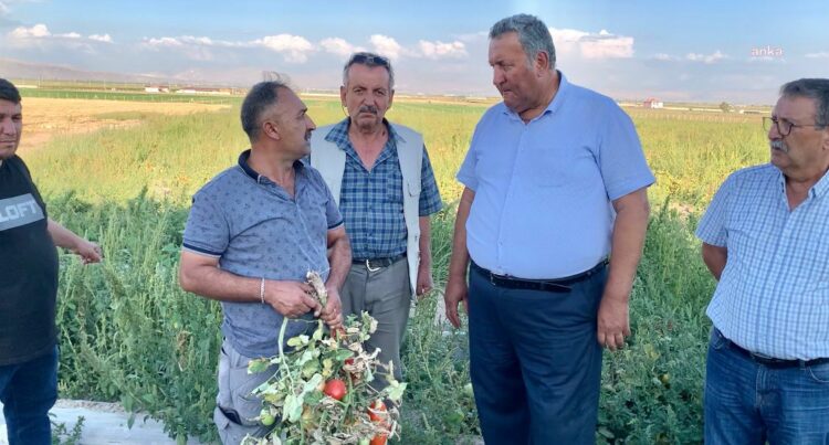 Gürer, domates üreticilerinin derdini dinledi…