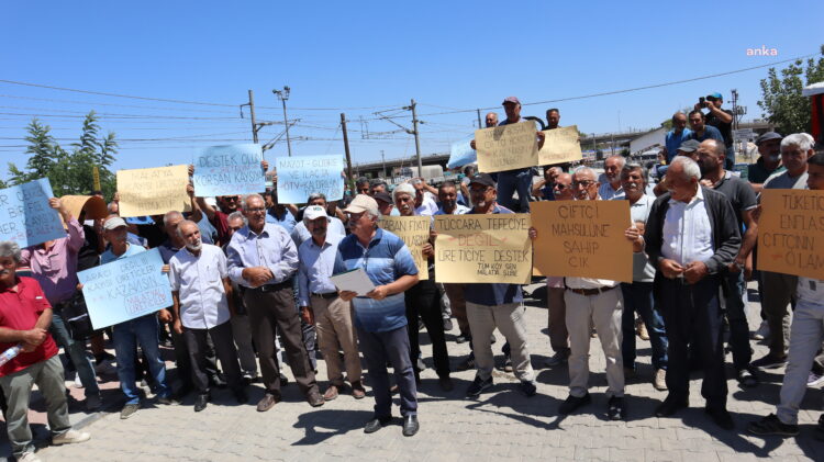 Malatya’da çiftçiler, TMO’nun kayısı taban fiyatını açıklamamasını protesto etti