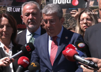 CHP’den, AYM’ye sokak hayvanları yasasının iptali başvurusu