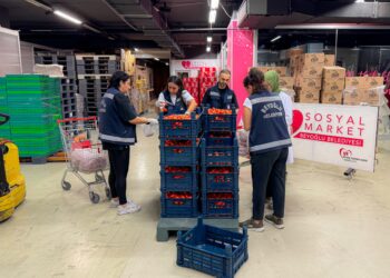 Beyoğlu Belediyesi’nden çiftçilere destek