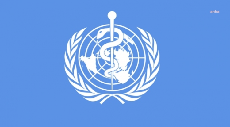 DSÖ, maymun çiçeği salgını nedeniyle ‘küresel acil durum’ ilan etti