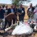 CHP heyeti, Narin’in kabrini ziyaret etti